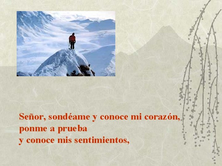 Señor, sondéame y conoce mi corazón, ponme a prueba y conoce mis sentimientos, 