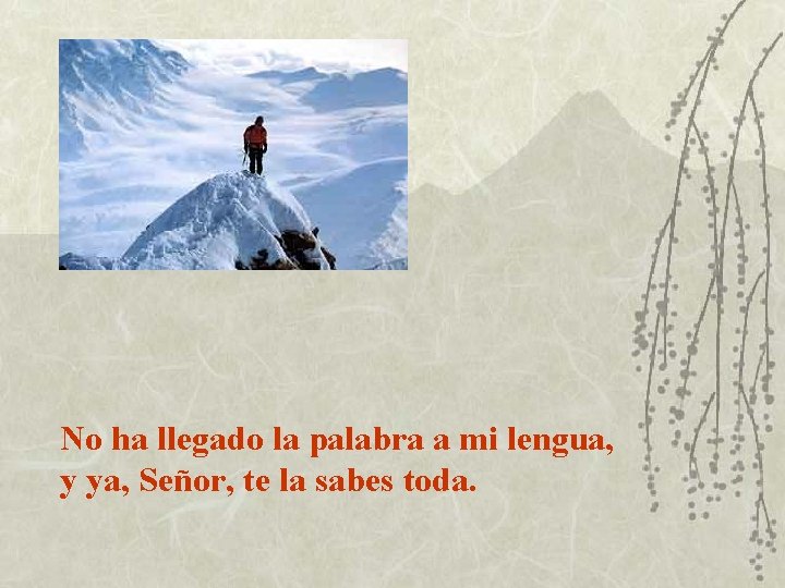 No ha llegado la palabra a mi lengua, y ya, Señor, te la sabes