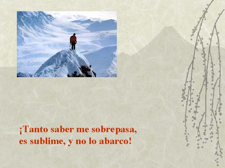 ¡Tanto saber me sobrepasa, es sublime, y no lo abarco! 