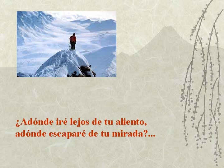 ¿Adónde iré lejos de tu aliento, adónde escaparé de tu mirada? . . .
