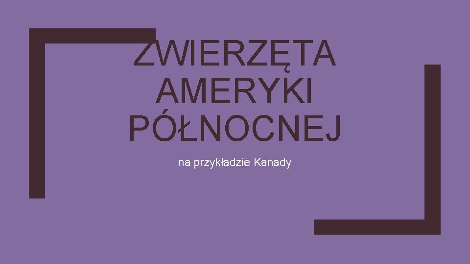 ZWIERZĘTA AMERYKI PÓŁNOCNEJ na przykładzie Kanady 