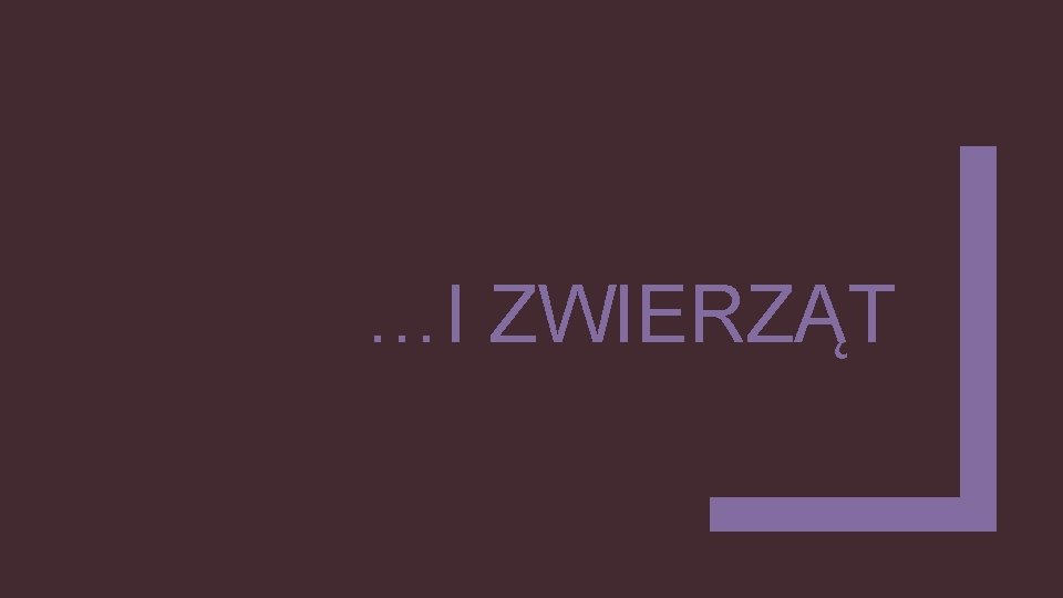…I ZWIERZĄT 