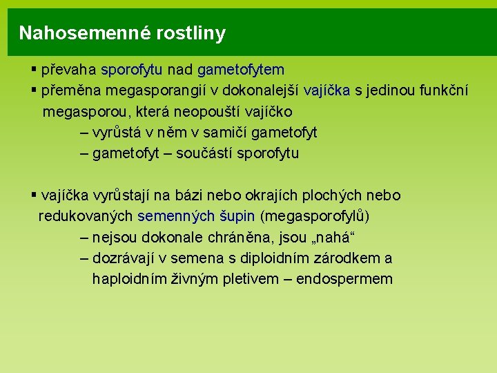 Nahosemenné rostliny § převaha sporofytu nad gametofytem § přeměna megasporangií v dokonalejší vajíčka s