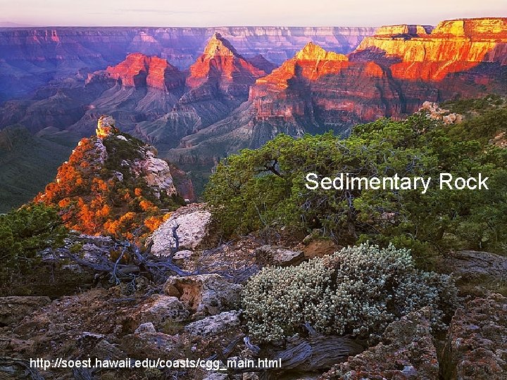 Sedimentary Rock http: //soest. hawaii. edu/coasts/cgg_main. html 