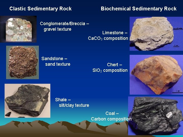 Clastic Sedimentary Rock Biochemical Sedimentary Rock Conglomerate/Breccia – gravel texture Limestone – Ca. CO