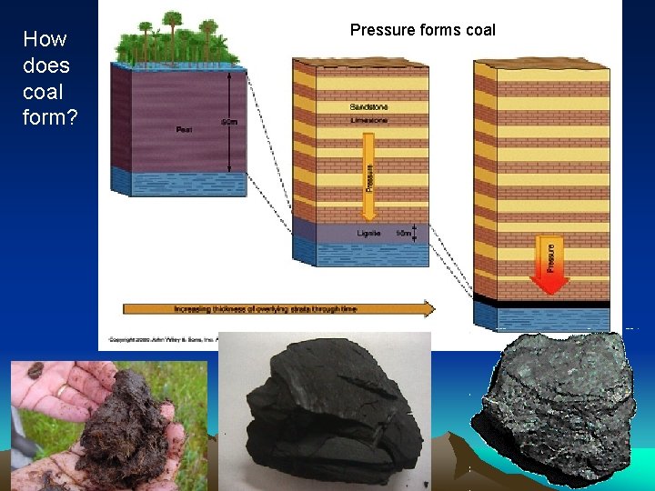 How does coal form? Pressure forms coal 