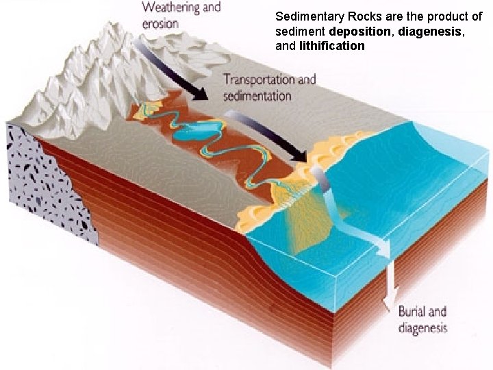Sedimentary Rocks are the product of sediment deposition, diagenesis, and lithification 