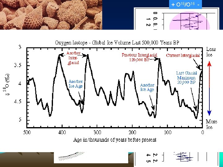 + O 18/O 16 - Periodicity of 100, 000 yrs Ca. CO 3 Layer