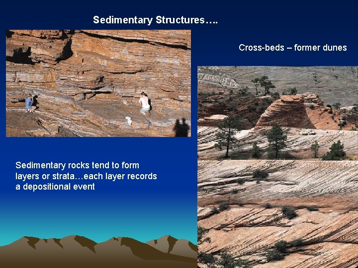 Sedimentary Structures…. Cross-beds – former dunes Sedimentary rocks tend to form layers or strata…each