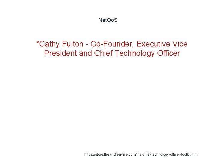 Net. Qo. S 1 *Cathy Fulton - Co-Founder, Executive Vice President and Chief Technology