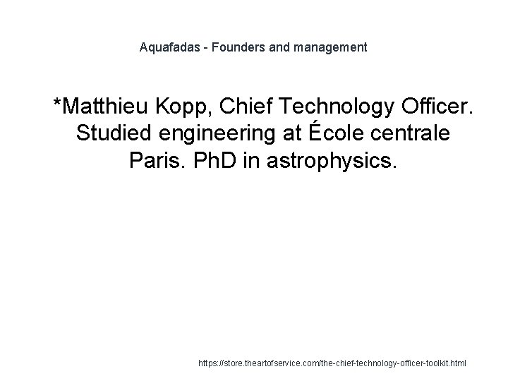 Aquafadas - Founders and management 1 *Matthieu Kopp, Chief Technology Officer. Studied engineering at