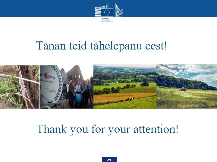 Tänan teid tähelepanu eest! Thank you for your attention! 29 