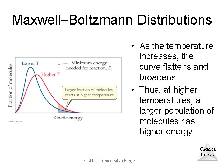 Maxwell–Boltzmann Distributions • As the temperature increases, the curve flattens and broadens. • Thus,