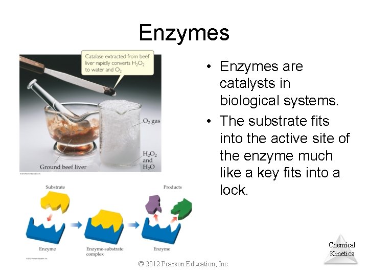 Enzymes • Enzymes are catalysts in biological systems. • The substrate fits into the