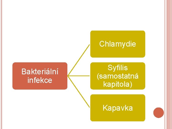 Chlamydie Bakteriální infekce Syfilis (samostatná kapitola) Kapavka 