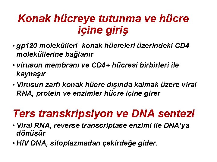 Konak hücreye tutunma ve hücre içine giriş • gp 120 molekülleri konak hücreleri üzerindeki