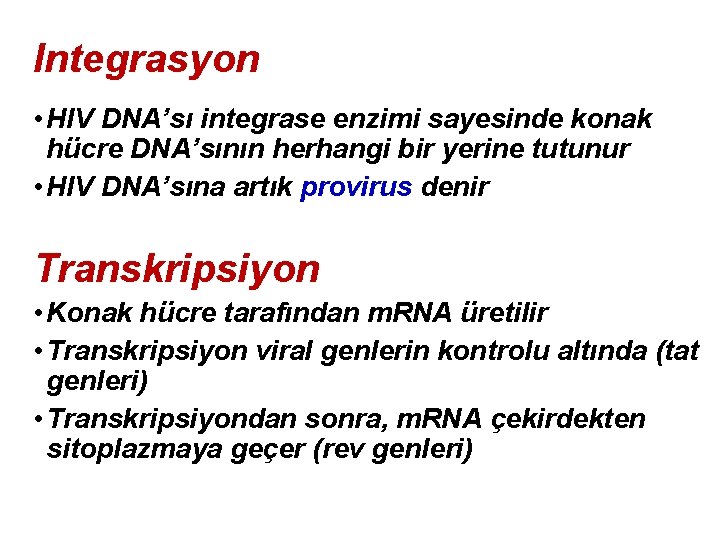 Integrasyon • HIV DNA’sı integrase enzimi sayesinde konak hücre DNA’sının herhangi bir yerine tutunur