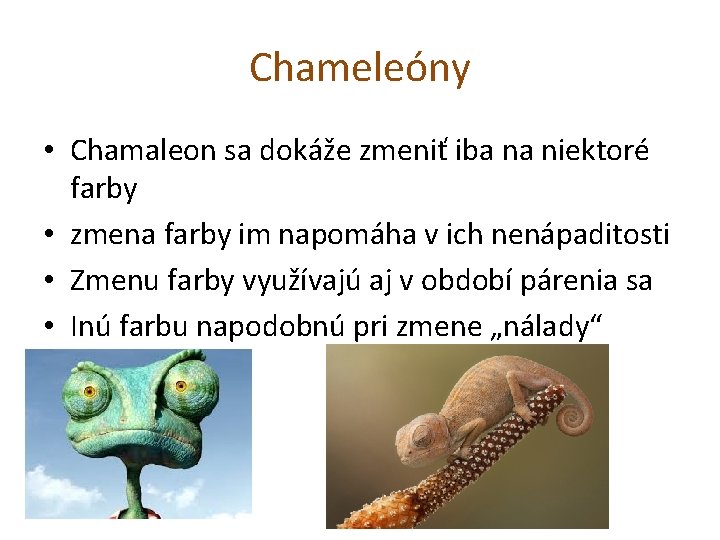 Chameleóny • Chamaleon sa dokáže zmeniť iba na niektoré farby • zmena farby im