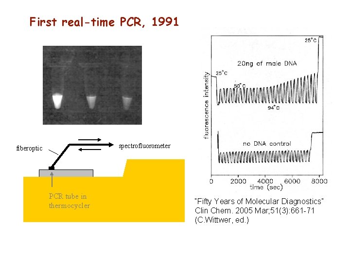 First real-time PCR, 1991 spectrofluorometer fiberoptic PCR tube in thermocycler “Fifty Years of Molecular