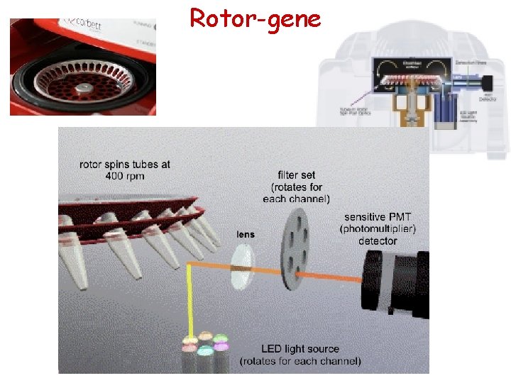 Rotor-gene 
