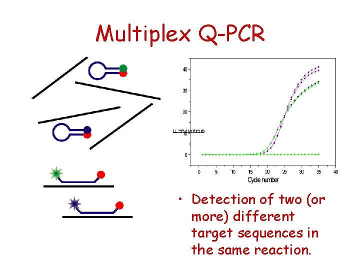 Multiplex Q-PCR • Detection of two (or more) different target sequences in the same