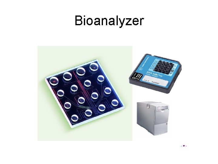 Bioanalyzer 