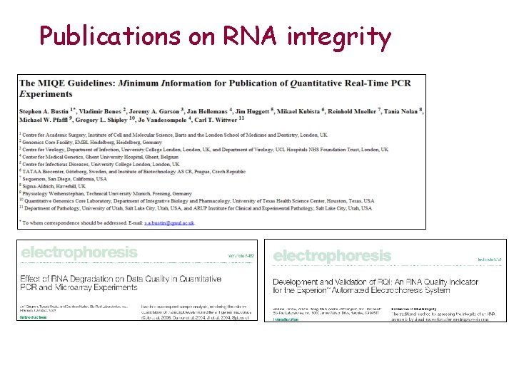 Publications on RNA integrity 