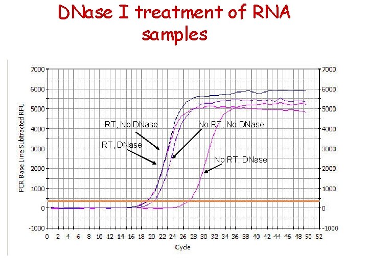 DNase I treatment of RNA samples RT, No DNase No RT, No DNase RT,