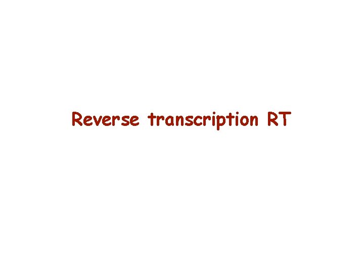 Reverse transcription RT 