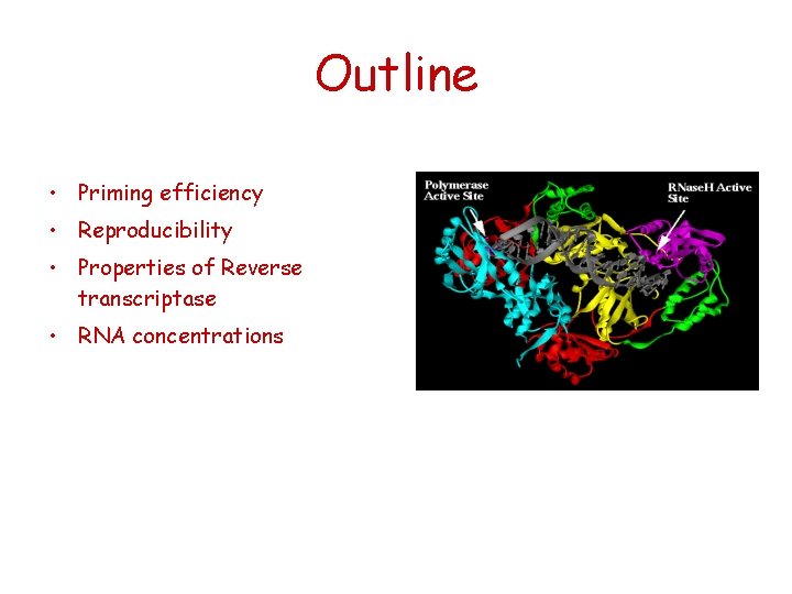 Outline • Priming efficiency • Reproducibility • Properties of Reverse transcriptase • RNA concentrations