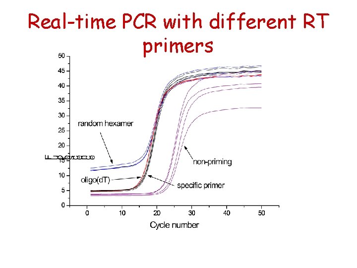 Real-time PCR with different RT primers 