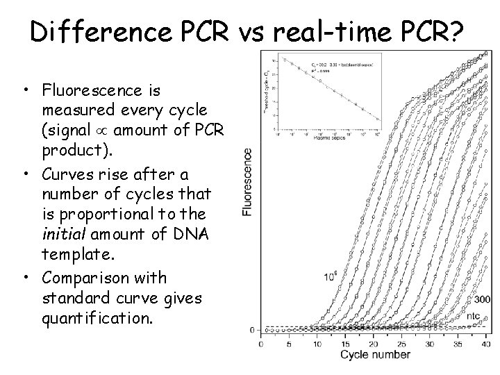 Difference PCR vs real-time PCR? • Fluorescence is measured every cycle (signal amount of