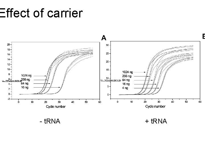 Effect of carrier - t. RNA + t. RNA 