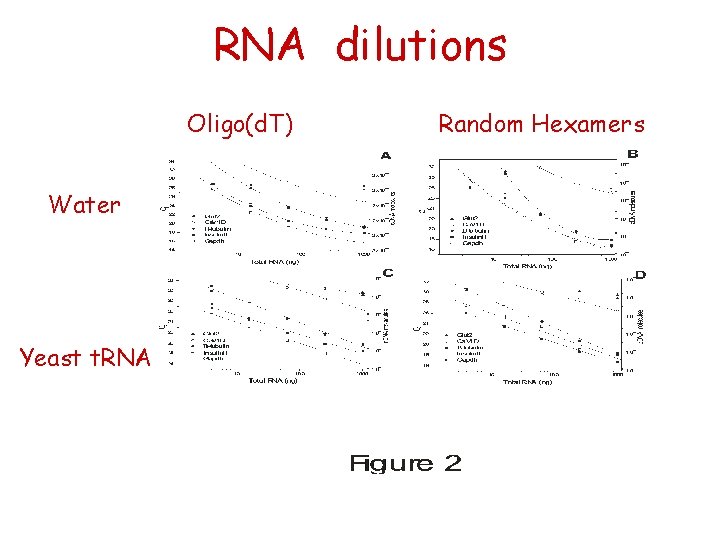 RNA dilutions Oligo(d. T) Water Yeast t. RNA Random Hexamers 