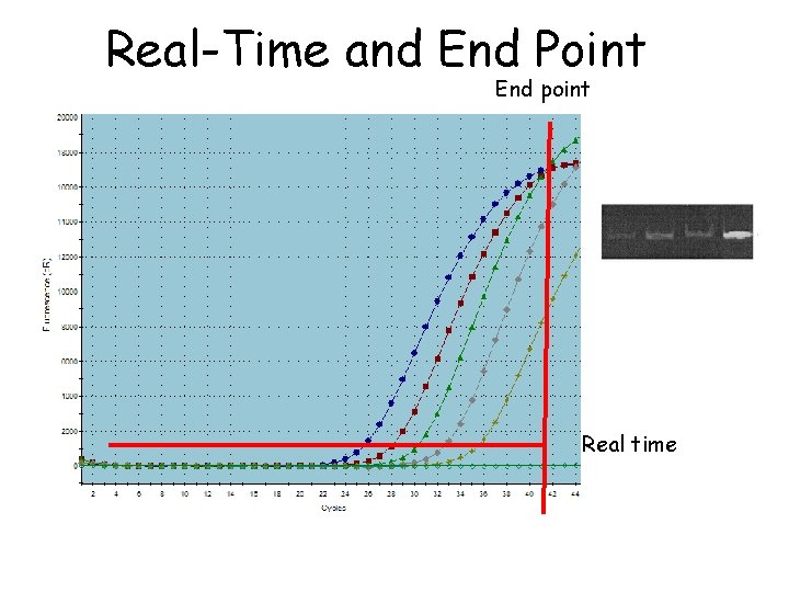 Real-Time and End Point End point Real time 