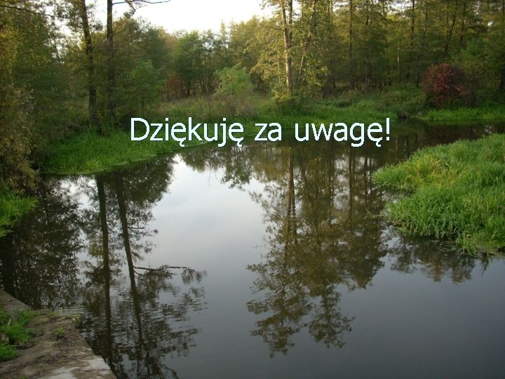Dziękuję za uwagę! Dziękuję za uwagę!