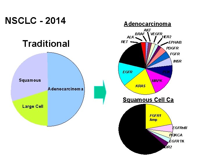 NSCLC - 2014 Traditional Adenocarcinoma AKT BRAF VEGFR HER 2 ALK RET EPHA/B PDGFR