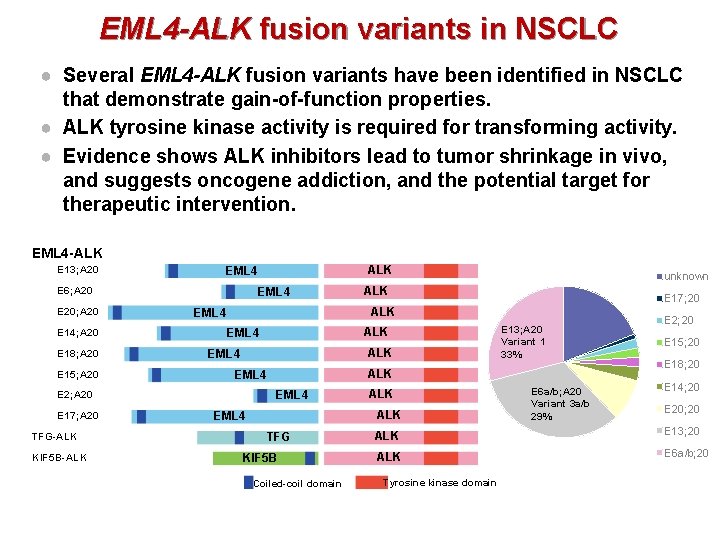 EML 4 -ALK fusion variants in NSCLC ● Several EML 4 -ALK fusion variants