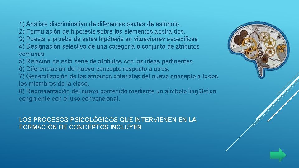 1) Análisis discriminativo de diferentes pautas de estímulo. 2) Formulación de hipótesis sobre los