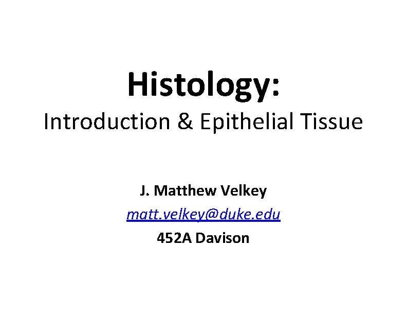 Histology: Introduction & Epithelial Tissue J. Matthew Velkey matt. velkey@duke. edu 452 A Davison