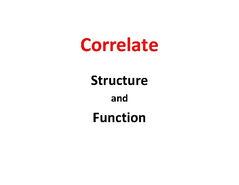 Correlate Structure and Function 