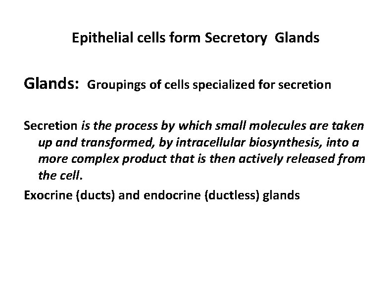 Epithelial cells form Secretory Glands: Groupings of cells specialized for secretion Secretion is the