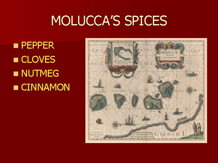 MOLUCCA’S SPICES n PEPPER n CLOVES n NUTMEG n CINNAMON 