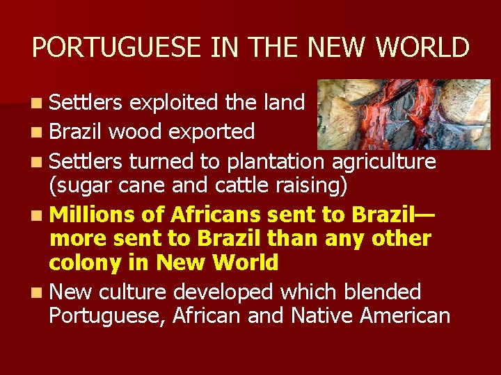 PORTUGUESE IN THE NEW WORLD n Settlers exploited the land n Brazil wood exported