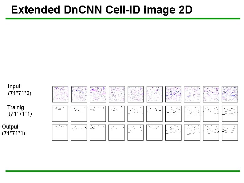 Extended Dn. CNN Cell-ID image 2 D Input (71*71*2) Trainig (71*71*1) Output (71*71*1) 