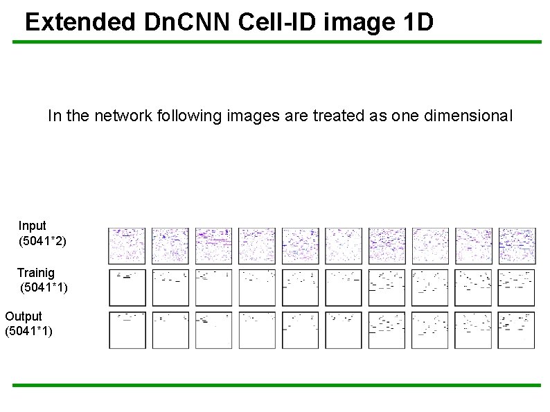 Extended Dn. CNN Cell-ID image 1 D In the network following images are treated