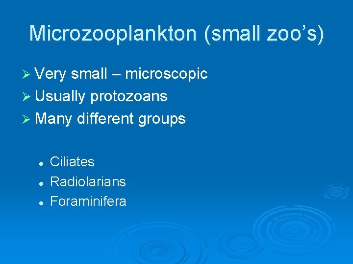 Microzooplankton (small zoo’s) Ø Very small – microscopic Ø Usually protozoans Ø Many different