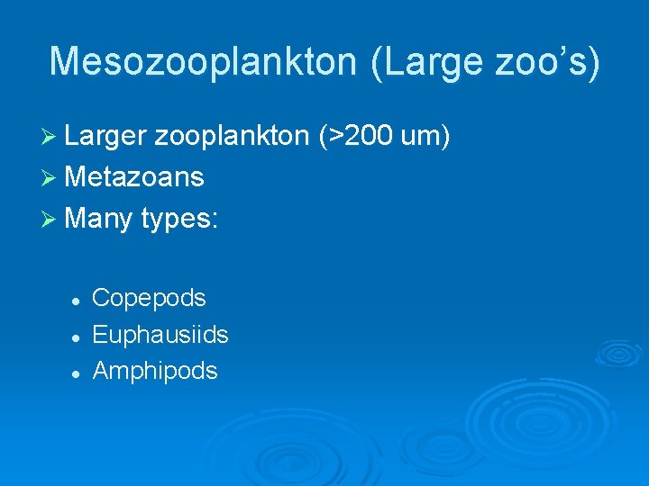 Mesozooplankton (Large zoo’s) Ø Larger zooplankton (>200 um) Ø Metazoans Ø Many types: l