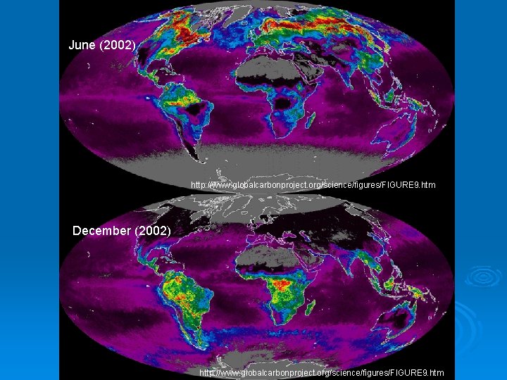 June (2002) http: //www. globalcarbonproject. org/science/figures/FIGURE 9. htm December (2002) http: //www. globalcarbonproject. org/science/figures/FIGURE