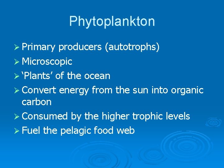 Phytoplankton Ø Primary producers (autotrophs) Ø Microscopic Ø ‘Plants’ of the ocean Ø Convert